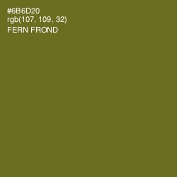 #6B6D20 - Fern Frond Color Image